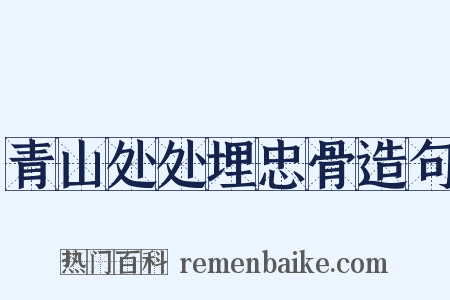 青山处处埋忠骨造句是什么意思的图片
